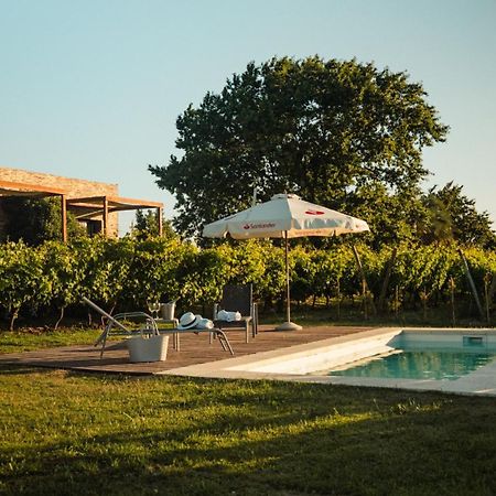 Pizzorno Lodge & Wine Progreso Екстериор снимка