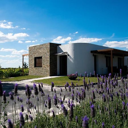 Pizzorno Lodge & Wine Progreso Екстериор снимка