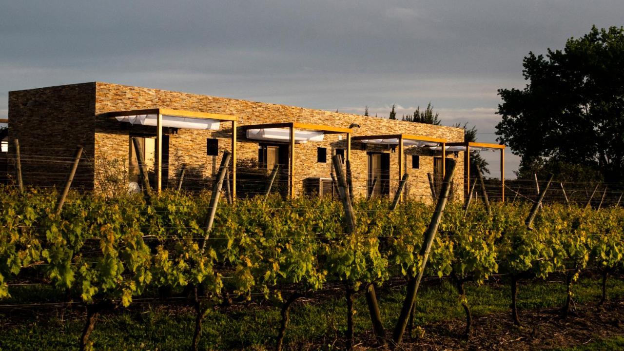 Pizzorno Lodge & Wine Progreso Екстериор снимка