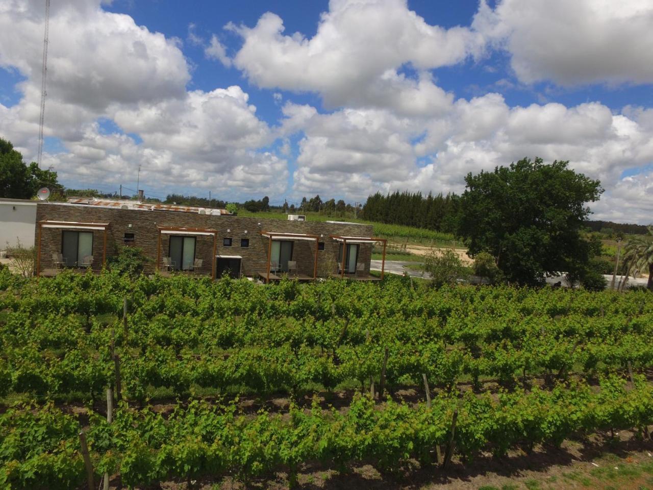 Pizzorno Lodge & Wine Progreso Екстериор снимка