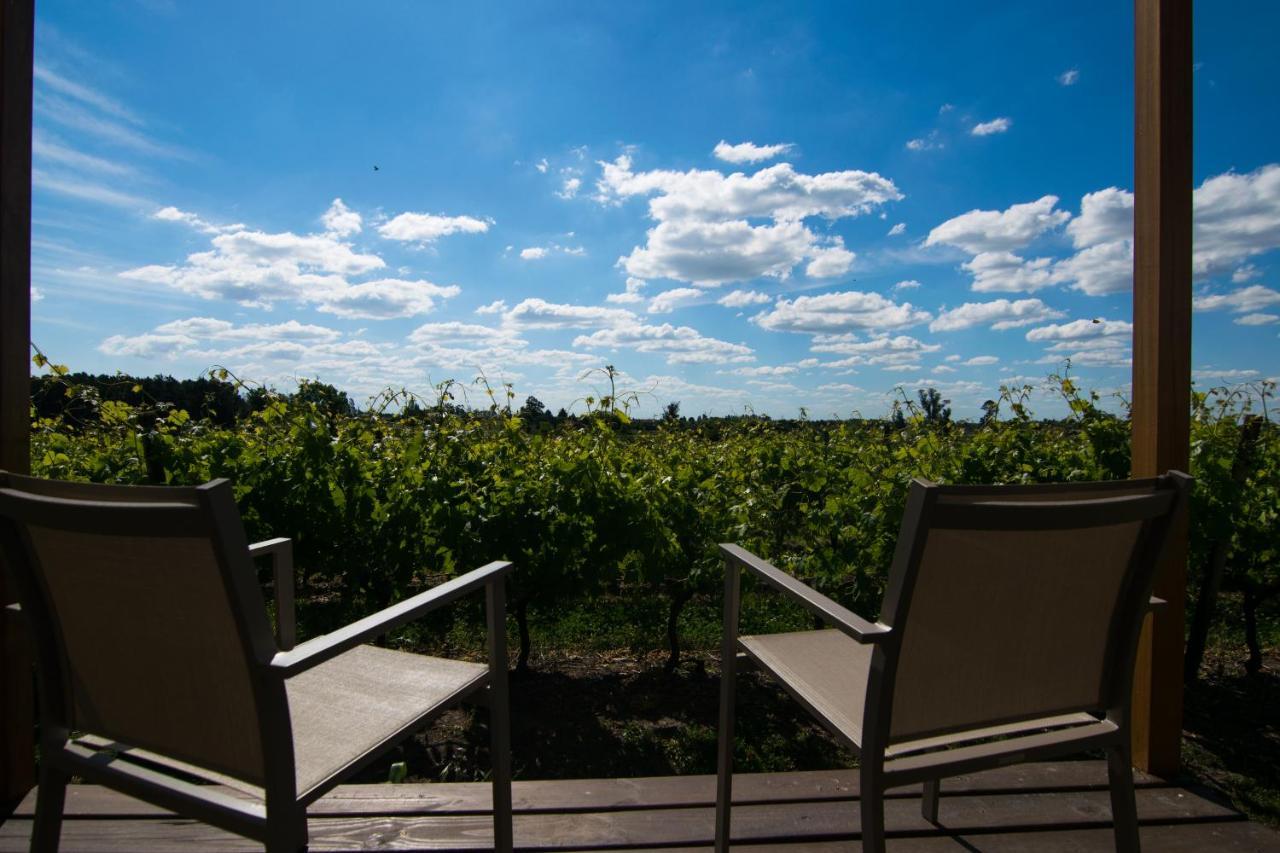 Pizzorno Lodge & Wine Progreso Екстериор снимка