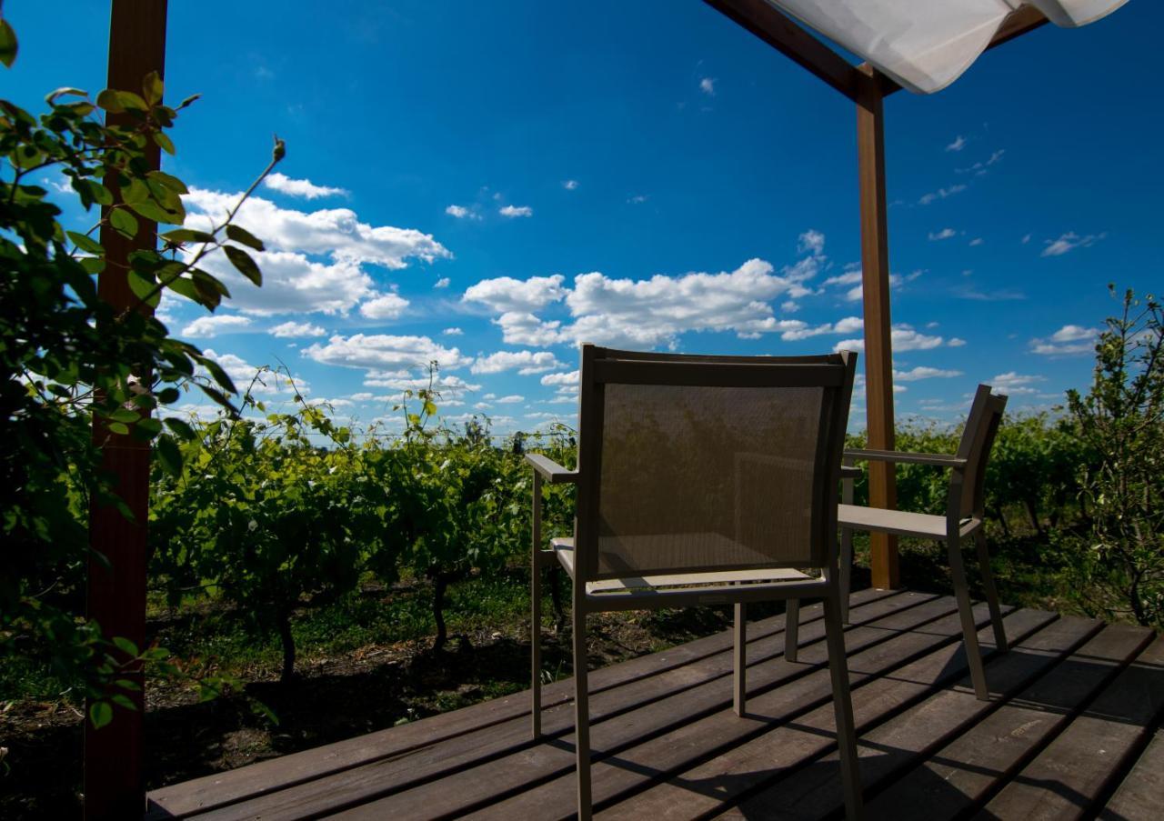 Pizzorno Lodge & Wine Progreso Екстериор снимка