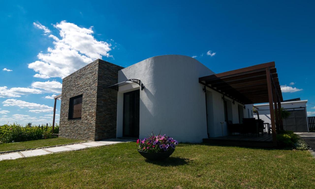 Pizzorno Lodge & Wine Progreso Екстериор снимка