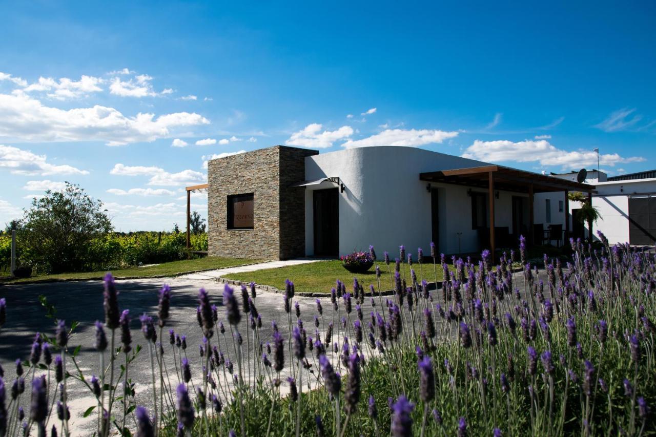 Pizzorno Lodge & Wine Progreso Екстериор снимка